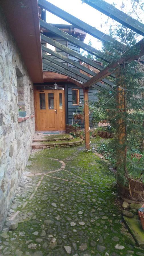 La Casa Verde Islallana Εξωτερικό φωτογραφία