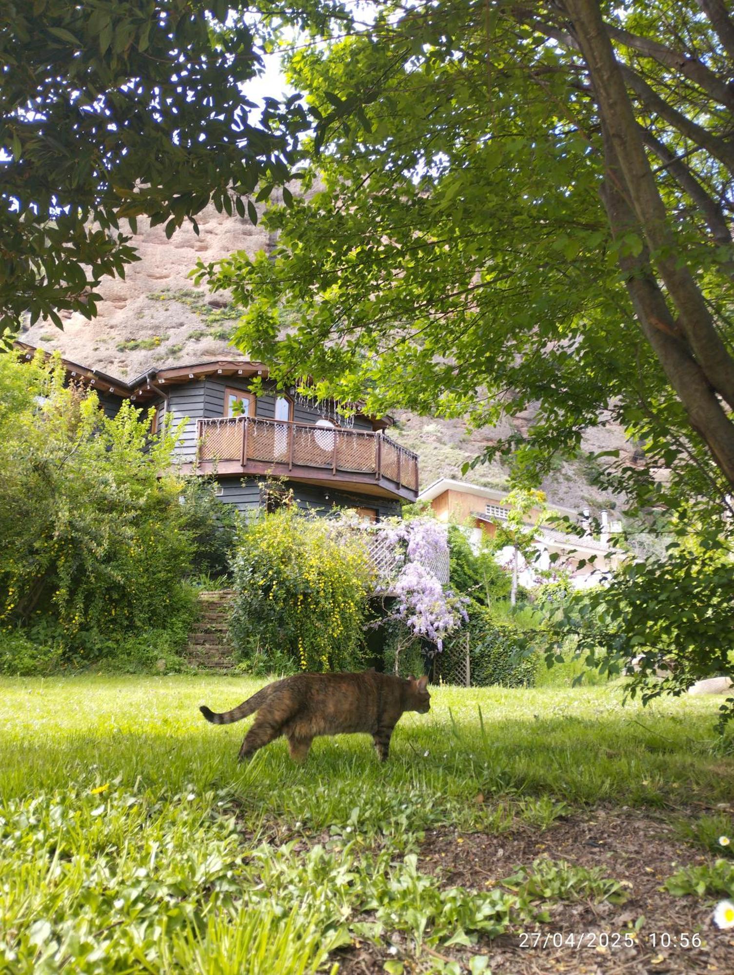 La Casa Verde Islallana Εξωτερικό φωτογραφία
